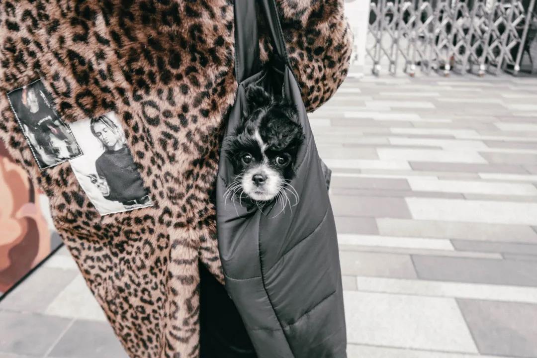 理想春季口罩穿搭,出门必备单品口罩日常