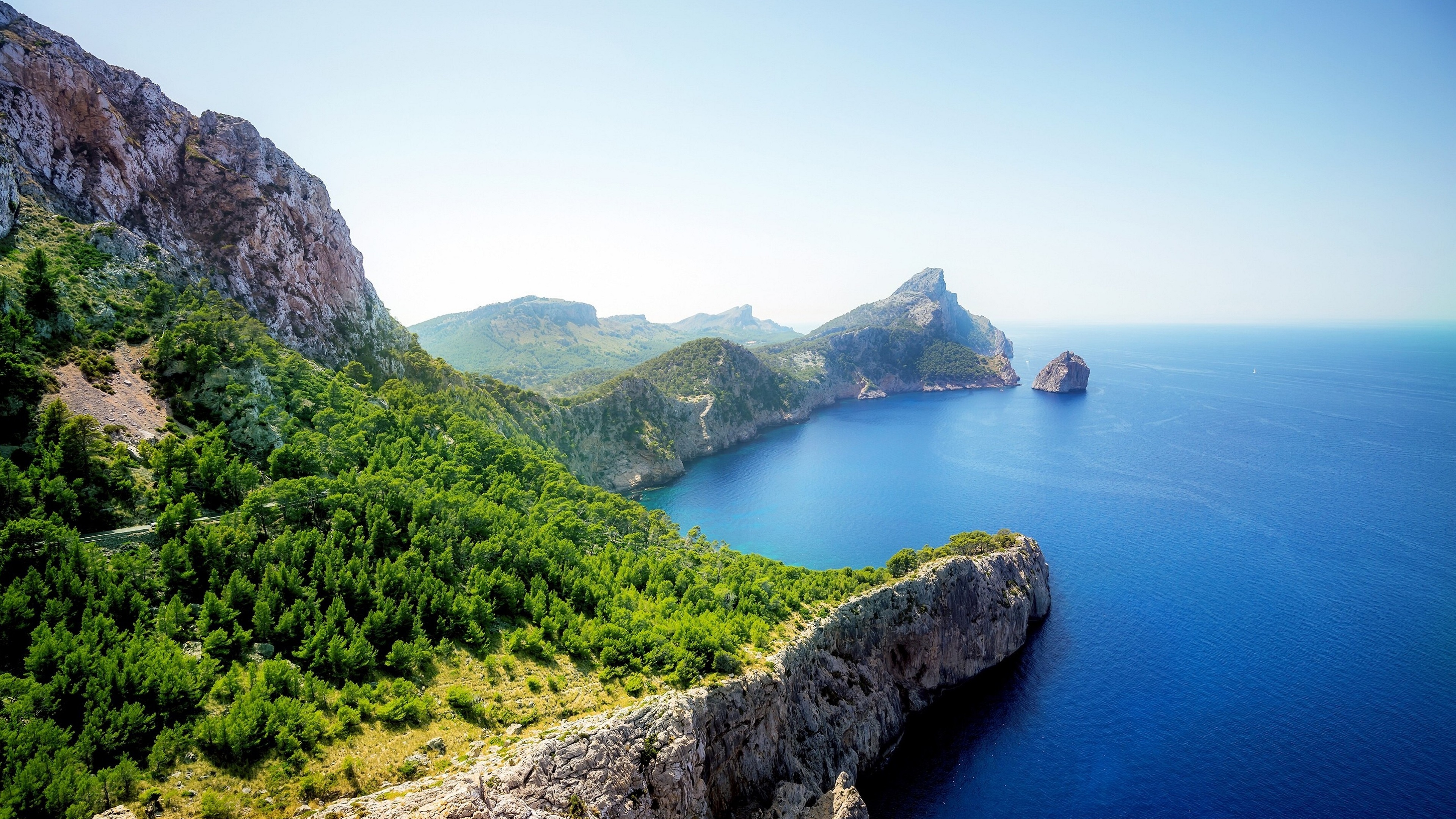 4k动物正脸壁纸高清版霸气,苹果12壁纸超清4k全屏动物