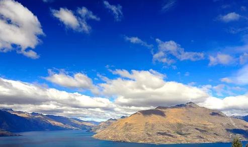 1688店铺虚假交易行为“自买自卖”的违规处罚