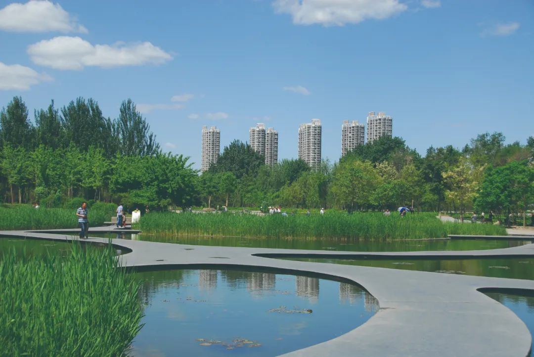 浑南房价未来5年如何,为什么浑南房价涨得快