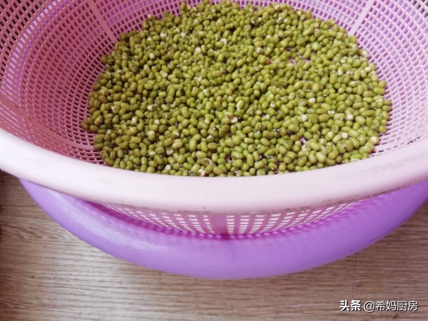 用绿豆泡豆芽七天过程,泡发绿豆怎么做好吃又简单