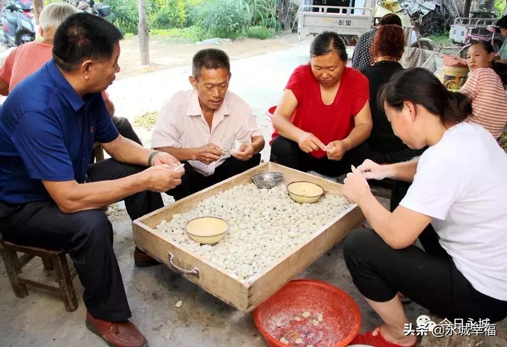 记住乡愁的记忆,永城丰庄枣干多少钱一斤