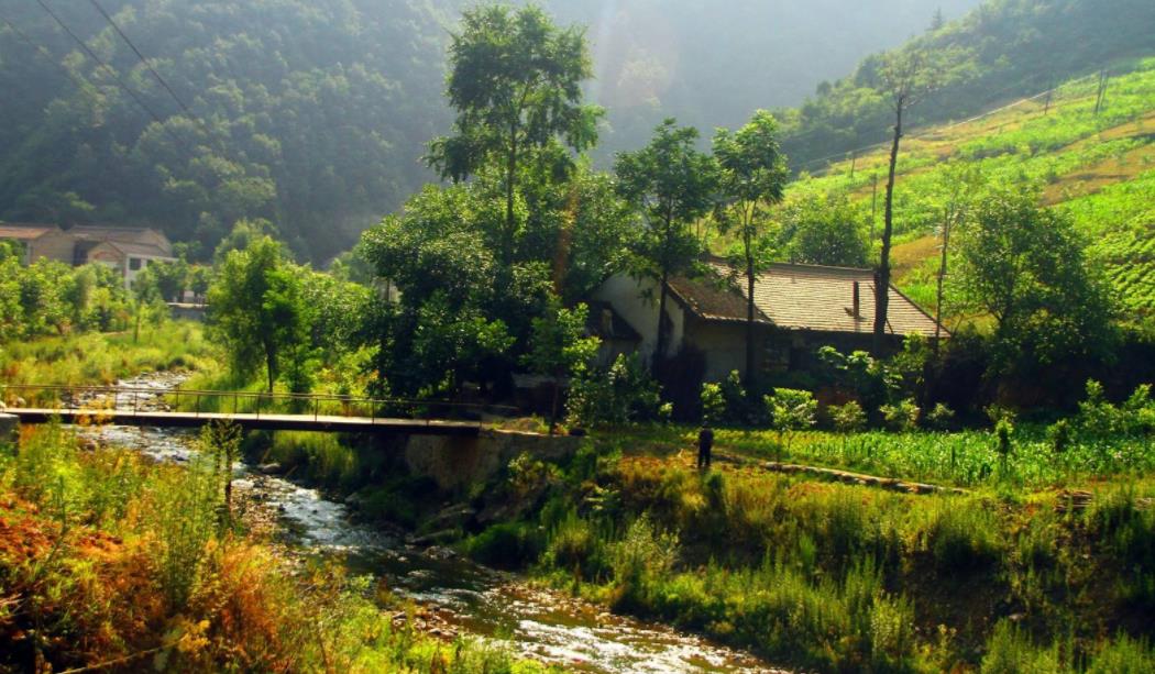 农村治毒蛇草药,毒蛇的克星野草