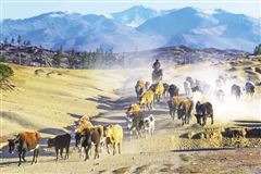 青海刚察在海北吗,青海刚察有无人区吗