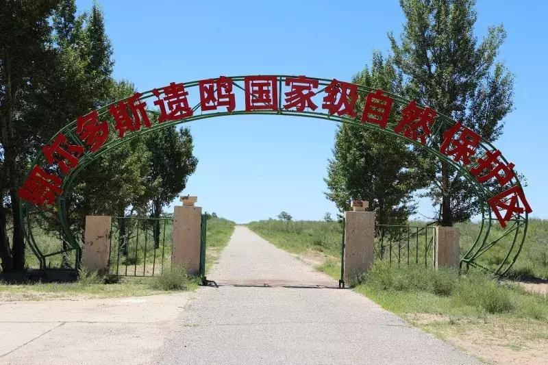 鄂尔多斯的变化,鄂尔多斯的惊人改变