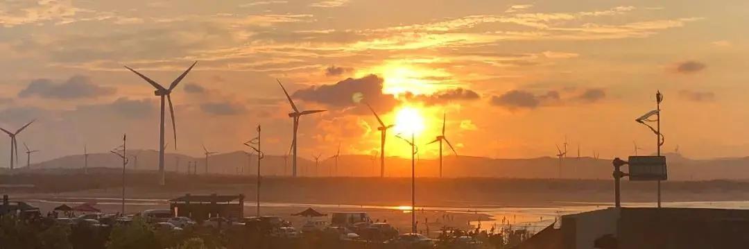 那群带着理想扎根生活的人，给北港带来了不一样的乡村温度