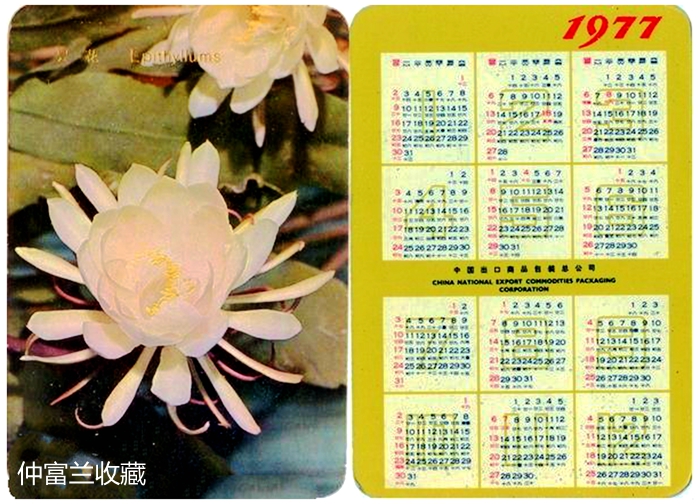 鍥介鍥句緥鐢诲唽,鍥介闈為仐鍥剧墖鎺掔増