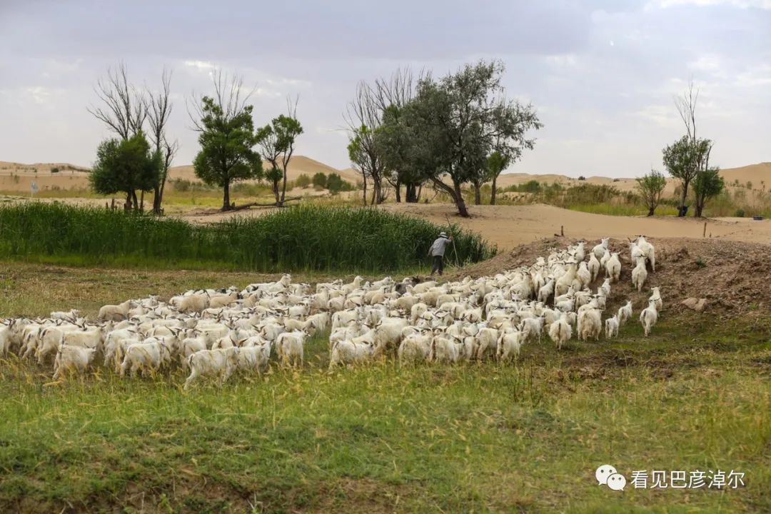 来认识一个不一样的我翻译,来认识不一样的滑雪