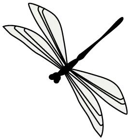 璀璨!圣诞夜,这个无锡年轻珠宝品牌点亮纽约时代广场