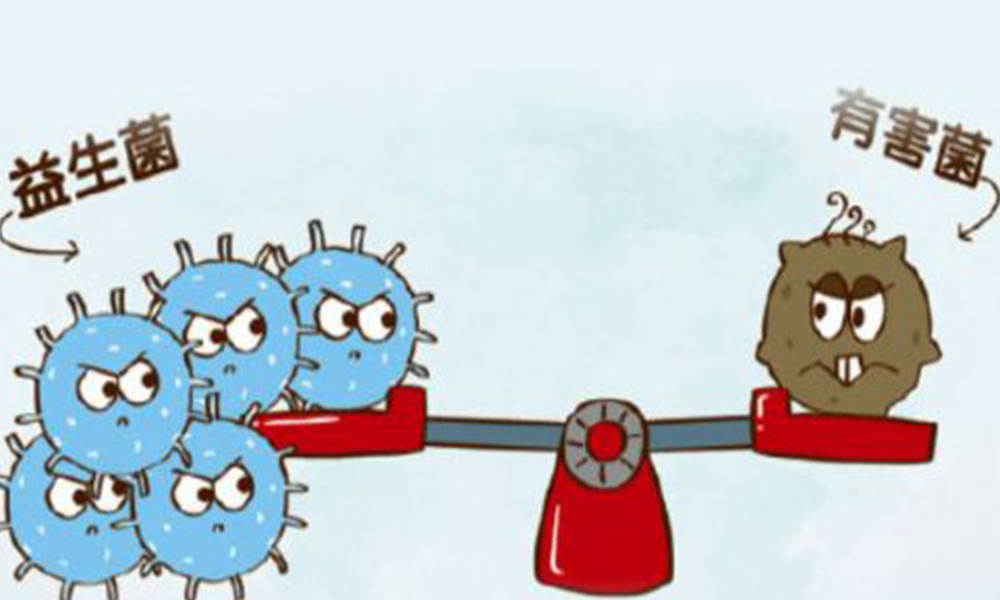 康萃乐1-12岁益生菌中文说明,过敏宝宝吃康萃乐益生菌有用吗