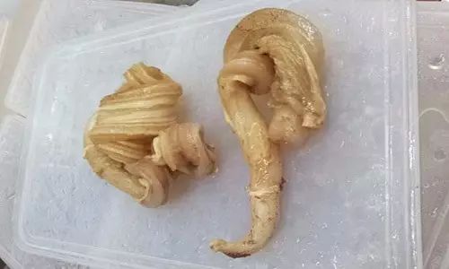 牛杂加工处理方法,地摊牛杂处理做法