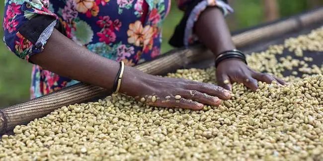 疫情期间卫生防护的利与弊,疫情期间家用卫生用品