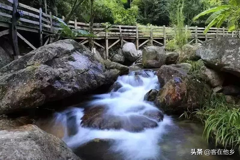 本港台播放过的动画,本港台曾经推出的纪录片