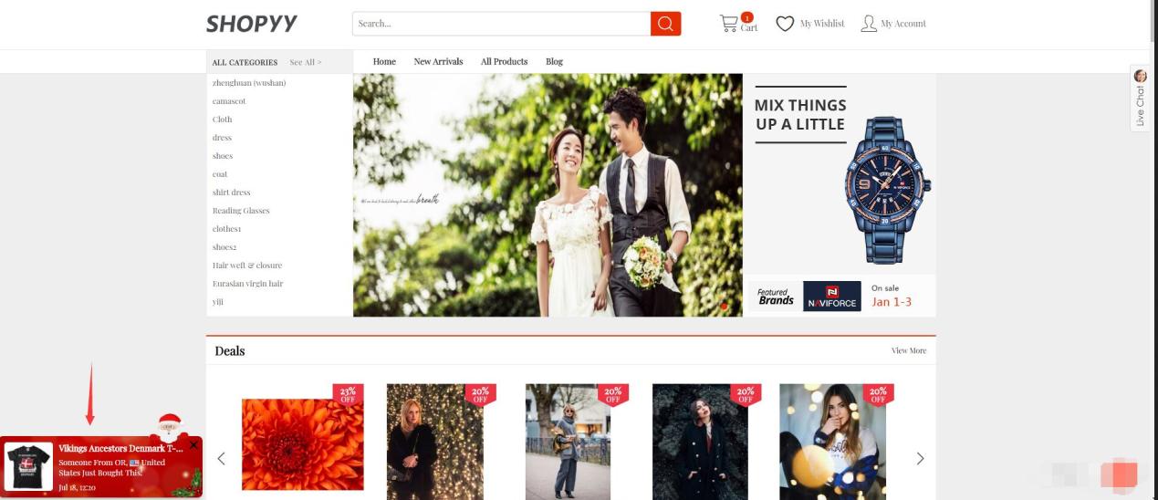 shopify干货分享,shopyy站群模式攻略
