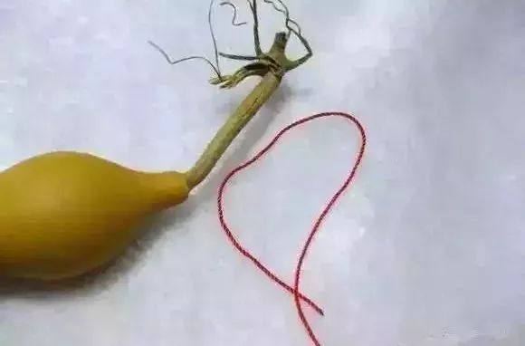 葫芦龙头断了怎么修剪,葫芦龙头怎么去掉