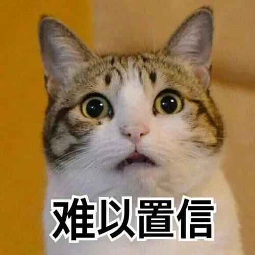 留学生海淘零食被抓,厦门留学生海淘被查