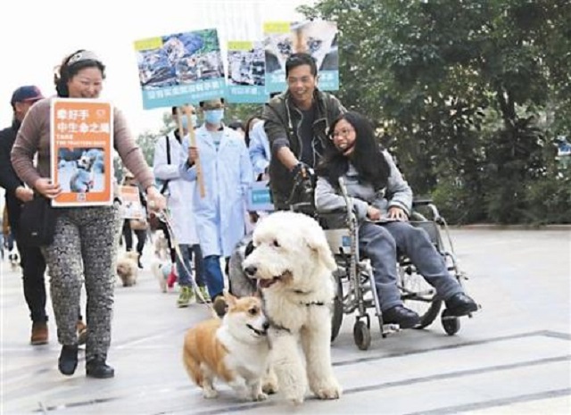 丁一舟陪伴患癌妻子,后来丁一舟生活怎么样了呢