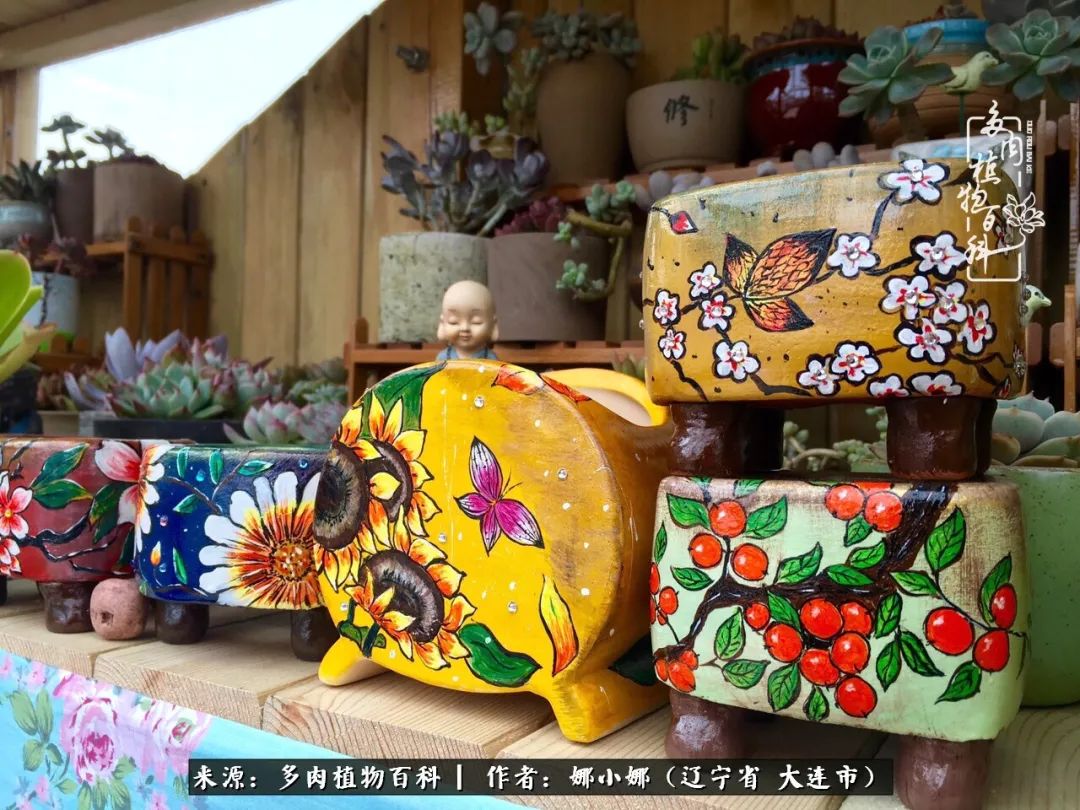 你是盆我是花，你护我周全，我为你绽放