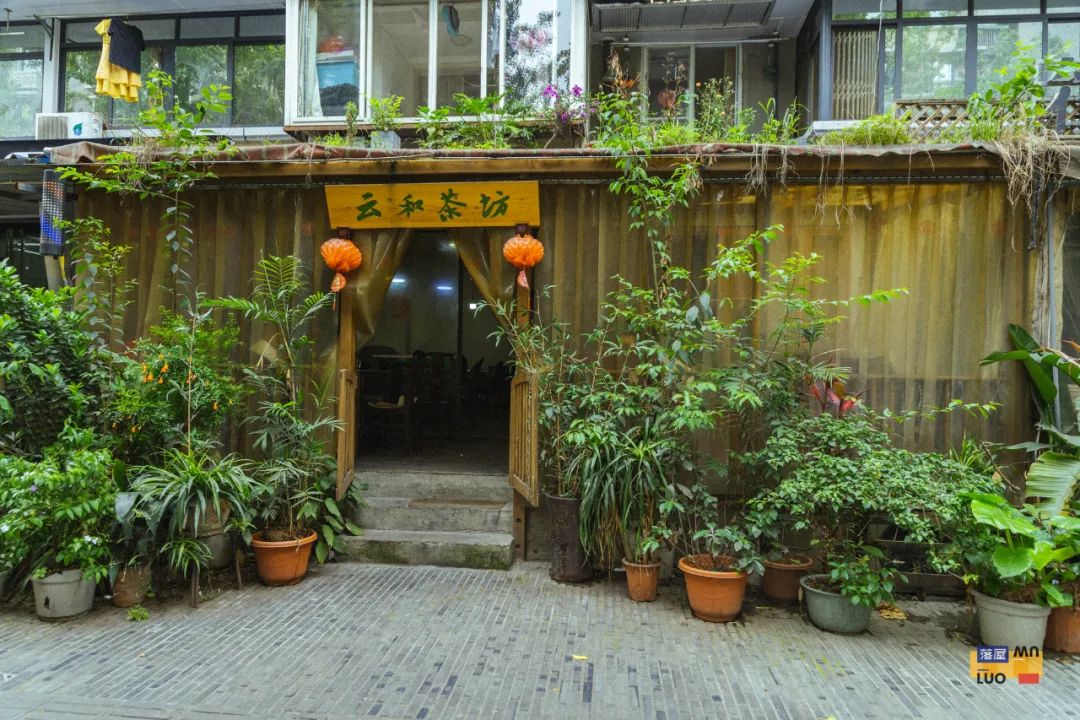 成都麻将一条街在什么地方,成都麻将一条街叫什么街