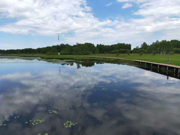 美丽的高岭塞罕坝,美丽的高岭朗诵
