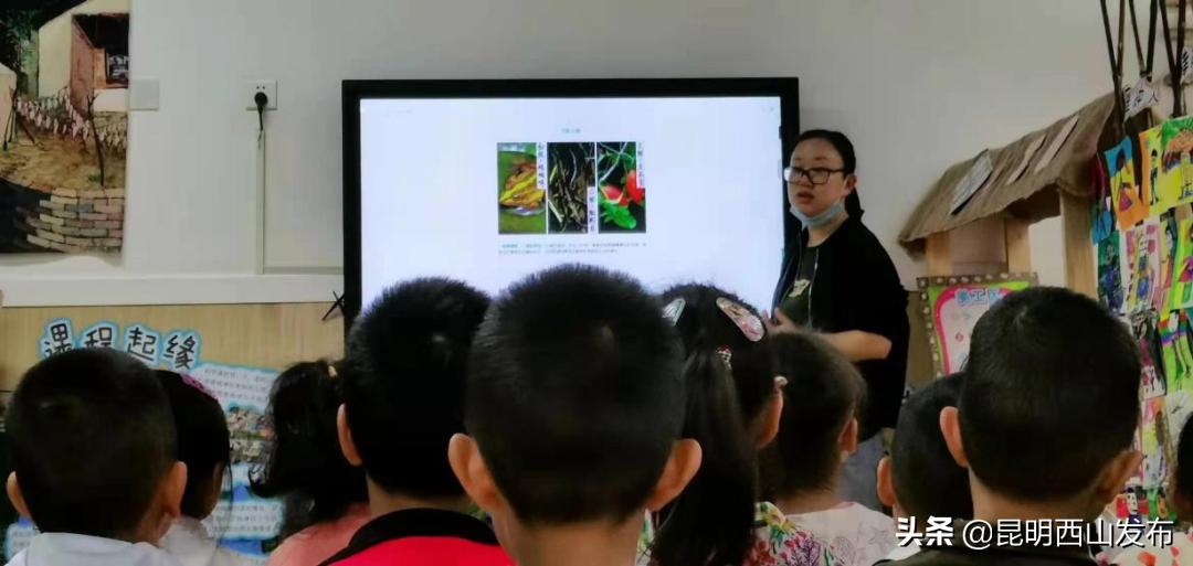 教育强区感恩有你|脚踏实地勤耕耘走近优秀教师（二）