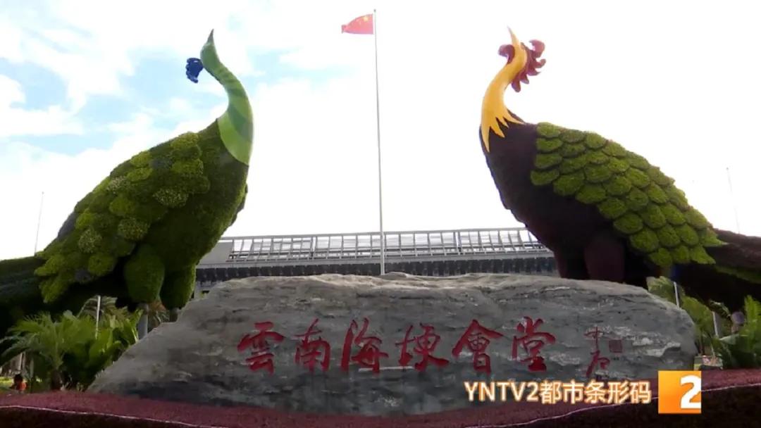 昆明100个立体花坛位置,昆明cop15立体花坛