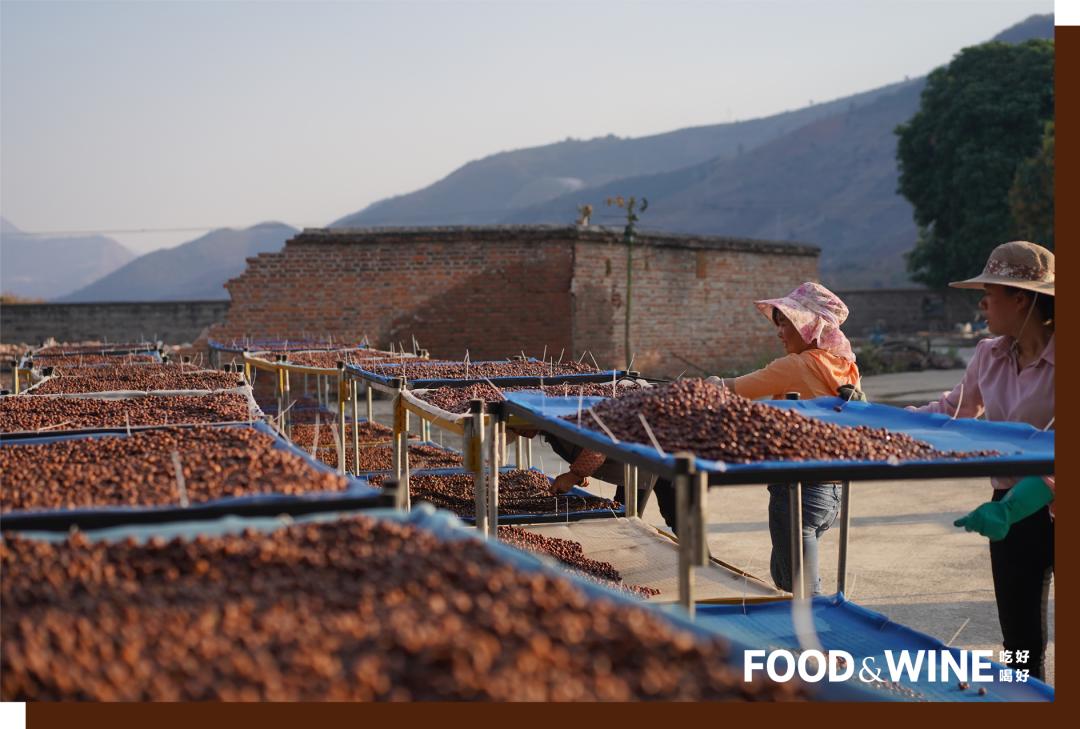 如何点一杯咖啡显得专业,如何点一杯美式咖啡