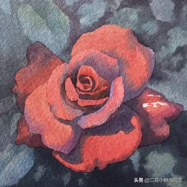 100种花卉绘画,100多张花卉线描手稿素材赶快收藏