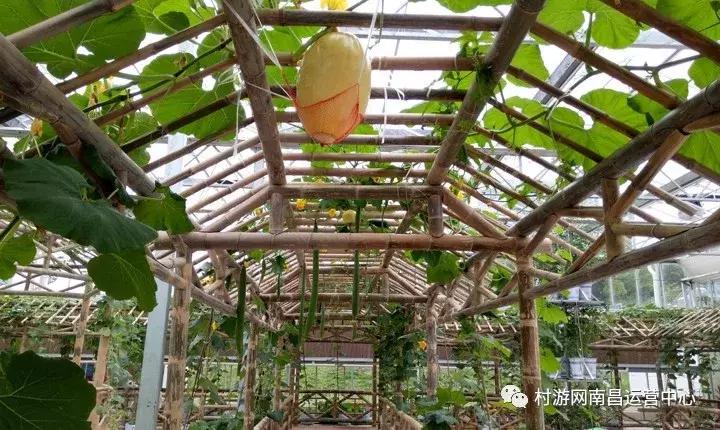 南昌现代庄园别墅,滨江庄园南昌