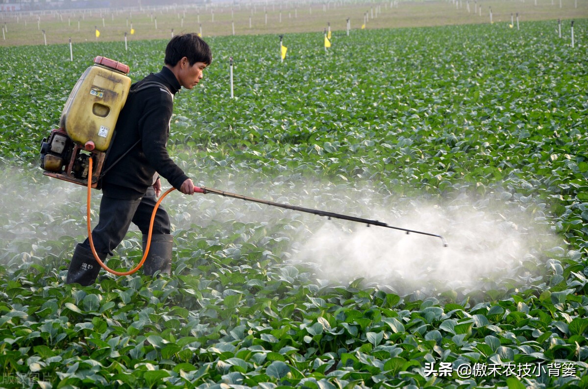 尿素和液体氮肥哪个好,液体氮肥到底是什么