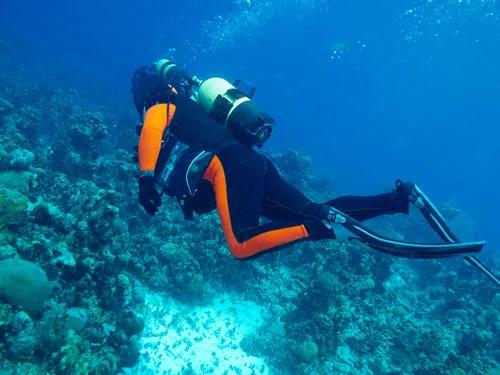 蓝鲸吞掉潜水员,潜水员被鲸鱼误吞怎么才能活下来