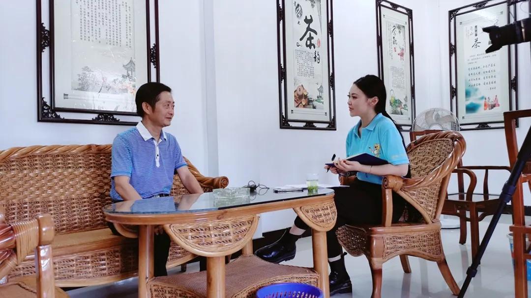 创璞然之茗振麻城茶业