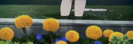 声之形男主为什么自我封闭,声之形是穿越回去吗