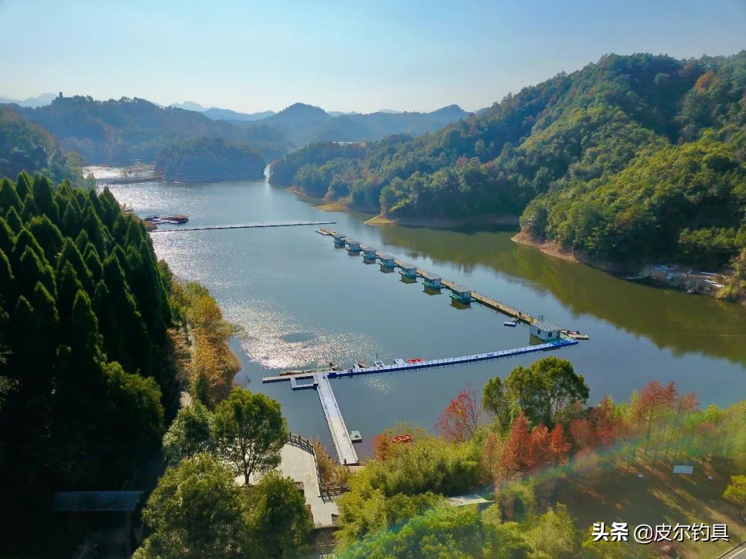 贝克力路亚大师赛总决赛视频,贝克力路亚大师赛2019排名