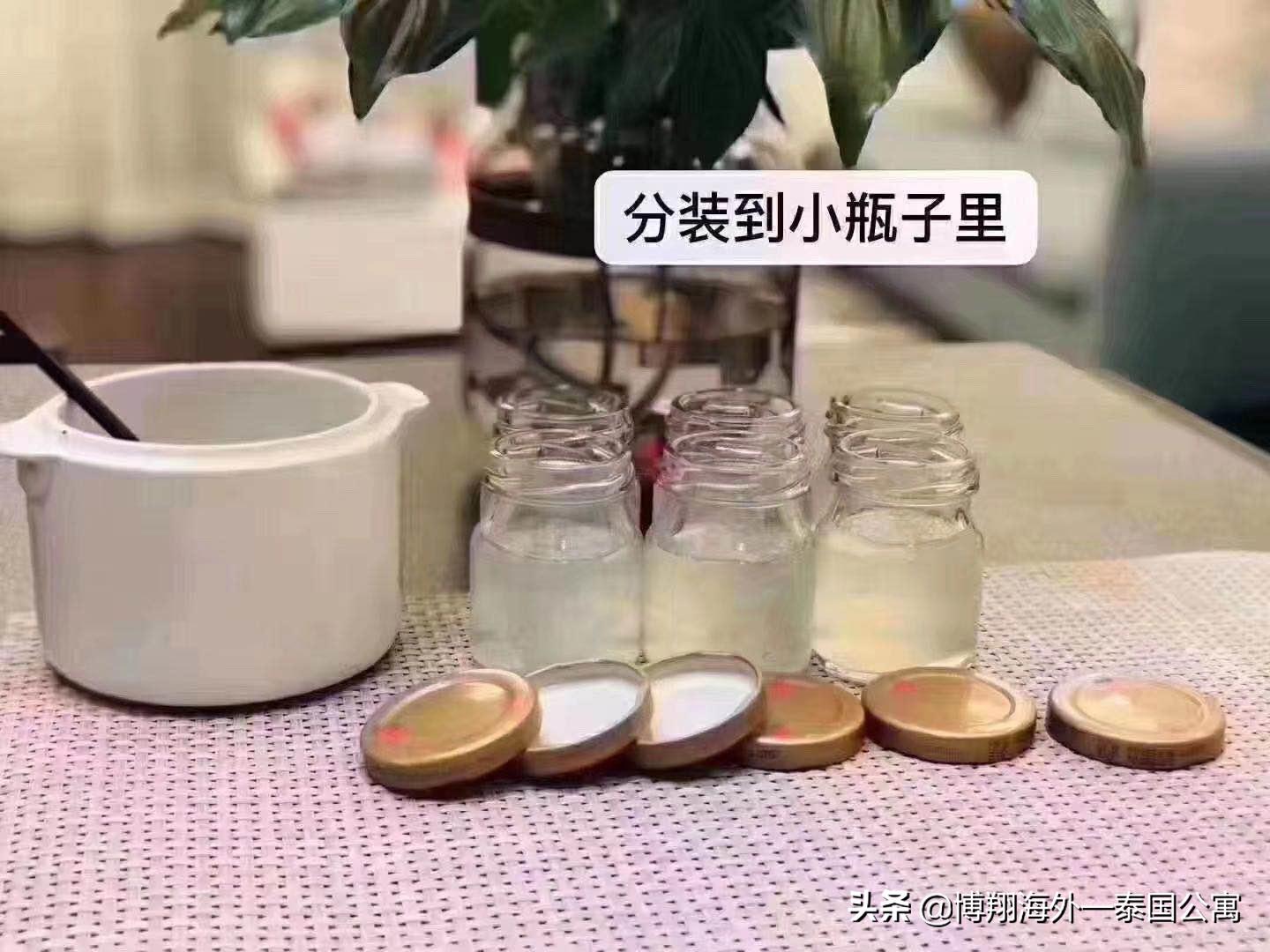 泰国燕窝和马来西亚哪个好,泰国燕窝马来燕窝外表差别