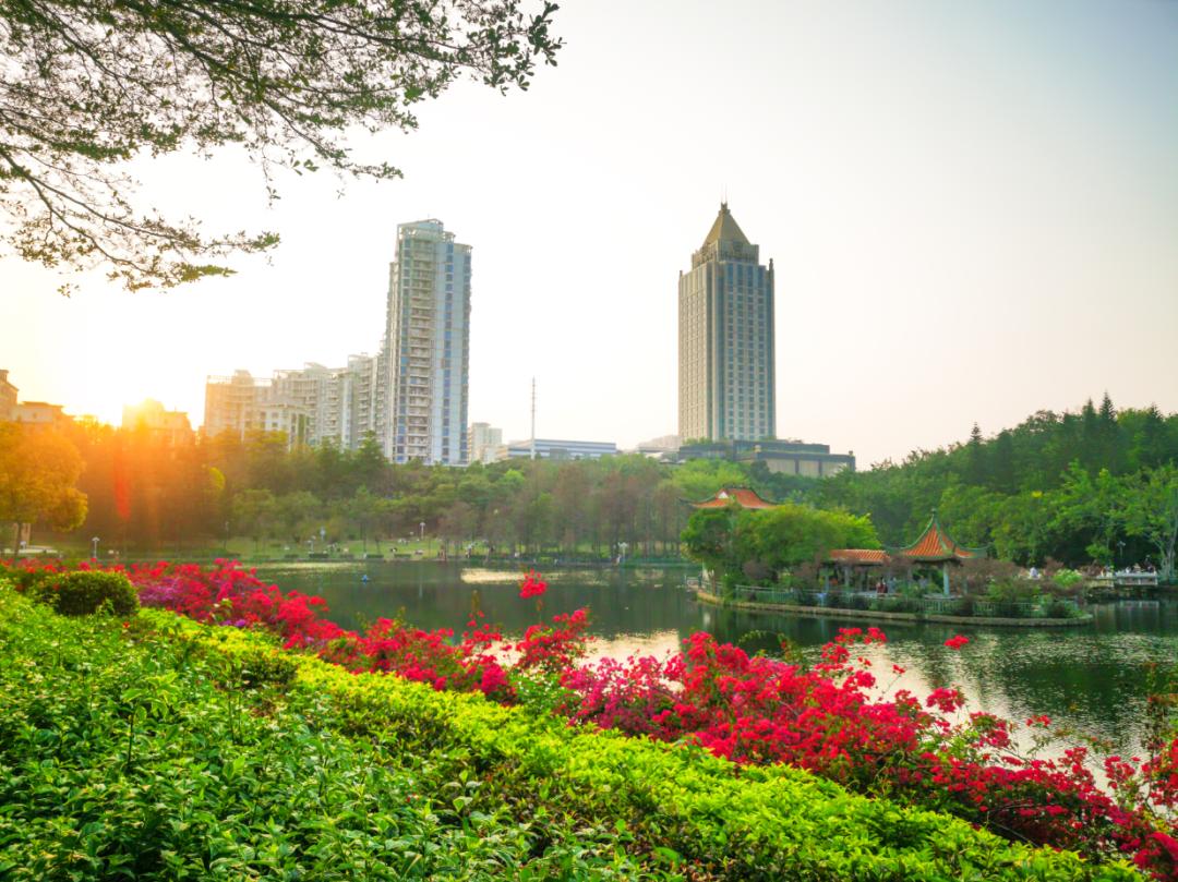 深圳赏月推荐,龙岗中心赏月
