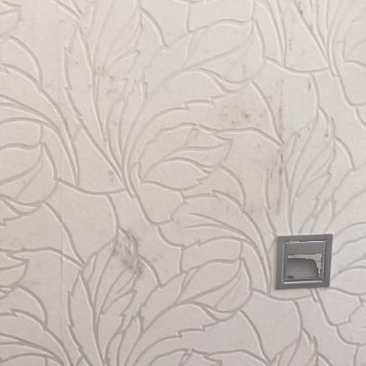 老房子墙面发霉发黑怎么处理,卫生间隔壁墙面受潮脱皮如何处理