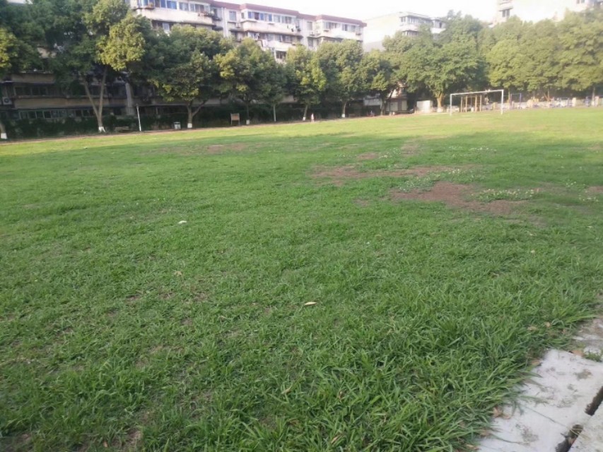 漫漫踢球路：疫情后的草根足球艰难前行，行进了派出所！