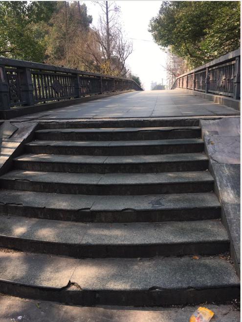 松江河镇夜晚风景,上海松江小镇风景图片