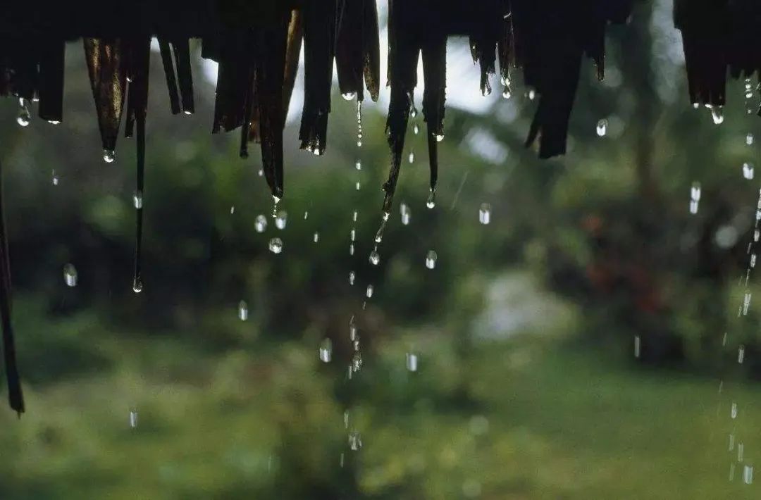 懂得装傻才是最高的人生智慧,装傻原来是一种幸福