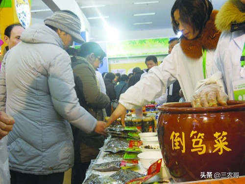 农民致富小本创业项目,适合30岁在家创业的小本生意