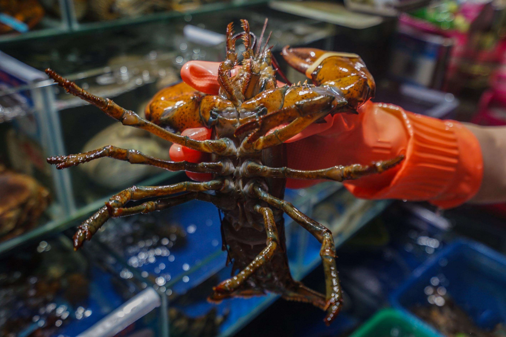 海南海鲜市场套路,卖海鲜的套路和技巧