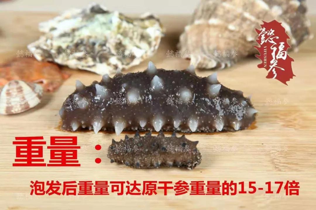 什么样的海参是比较好的海鲜,什么样的海参质量好有养分