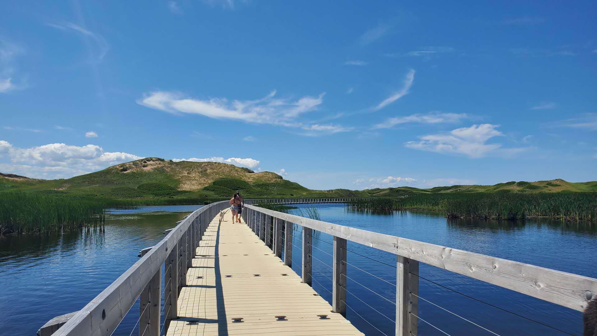 加拿大地图爱德华王子岛,加拿大的爱德华王子岛