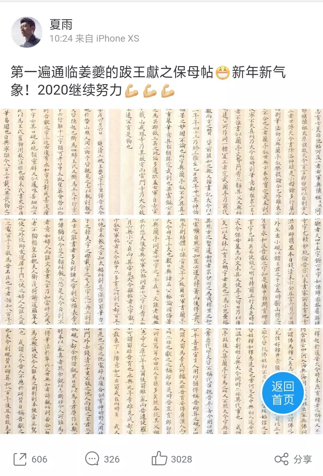 夏雨的书法水平怎样,演员夏雨书法