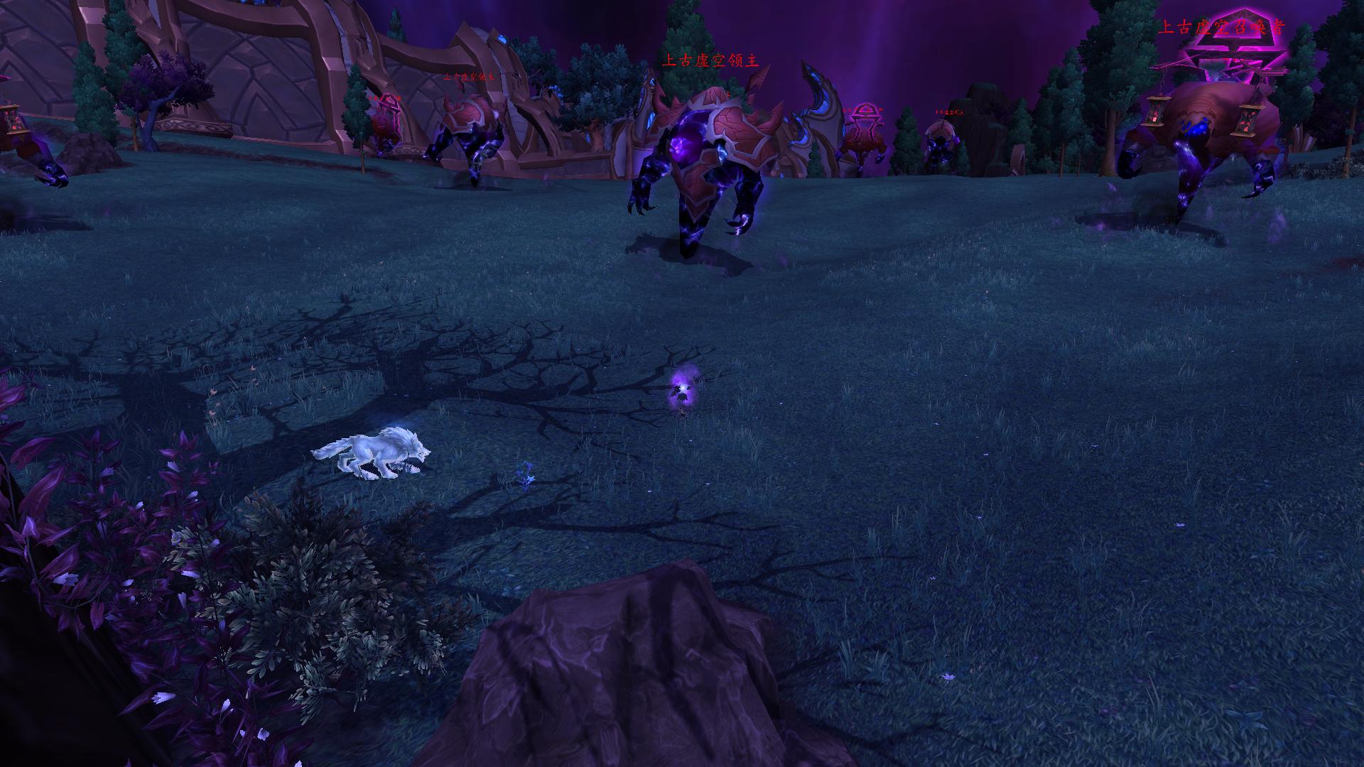 灵魂兽戈拉任务在哪里接,魔兽世界灵魂兽戈拉能抓几只