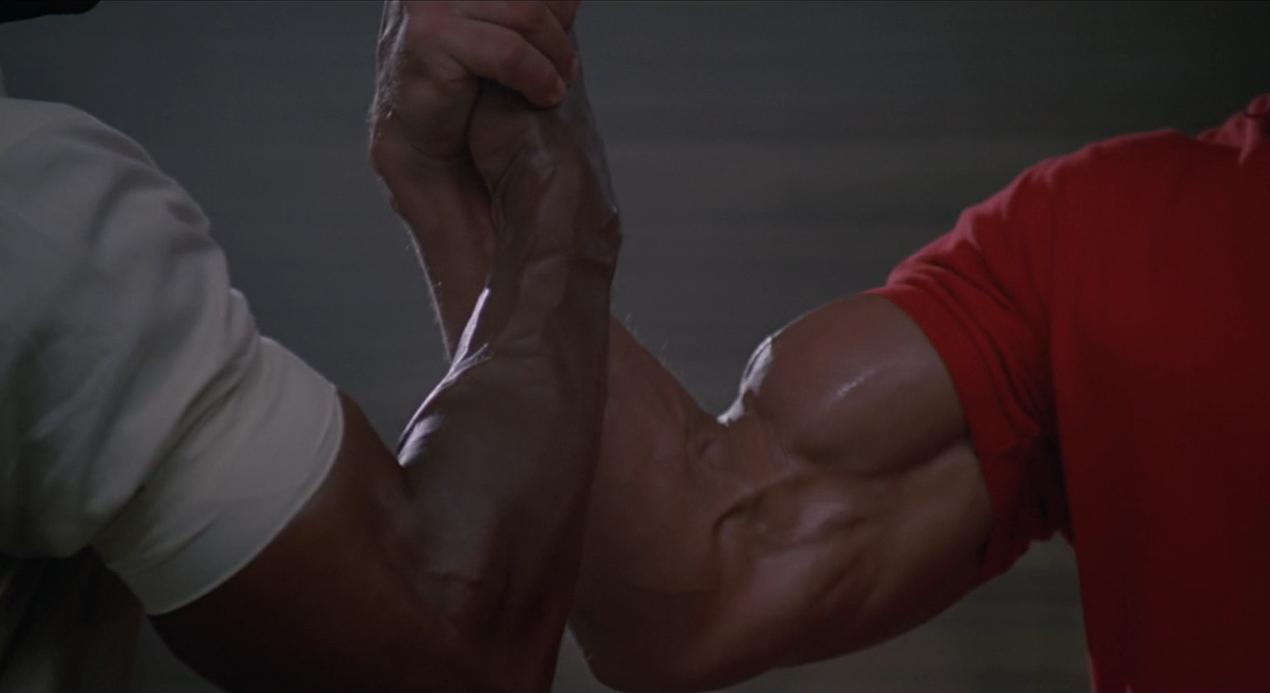 铁血战士系列解析,铁血战士形态全部解析