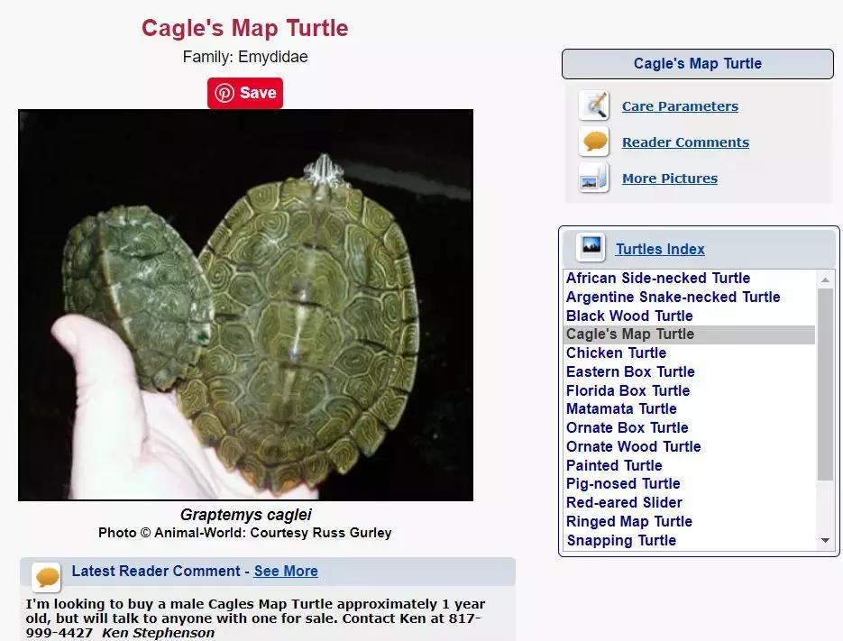 地图龟6-7厘米是成年龟吗,地图龟12cm成年了么