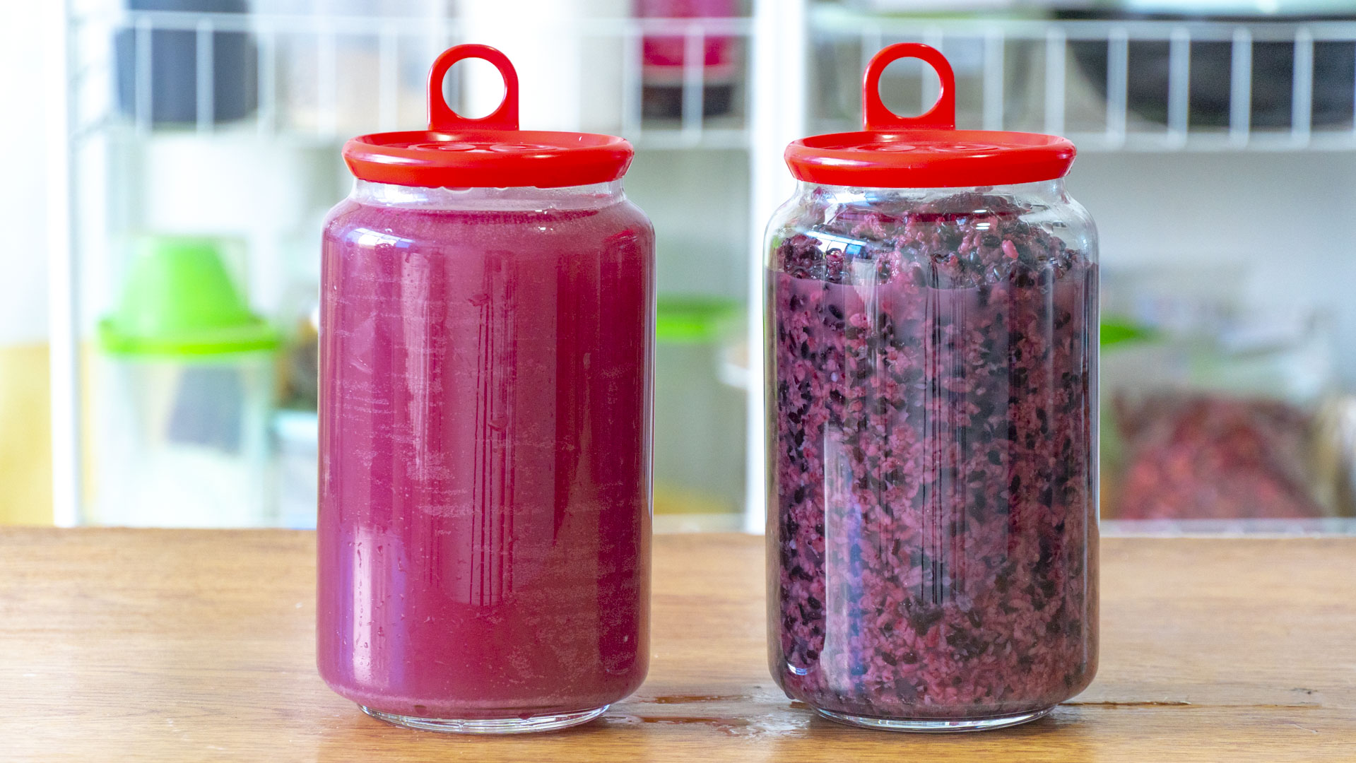 秋冬几款养生食谱推荐给你,冬季养生指南及食谱