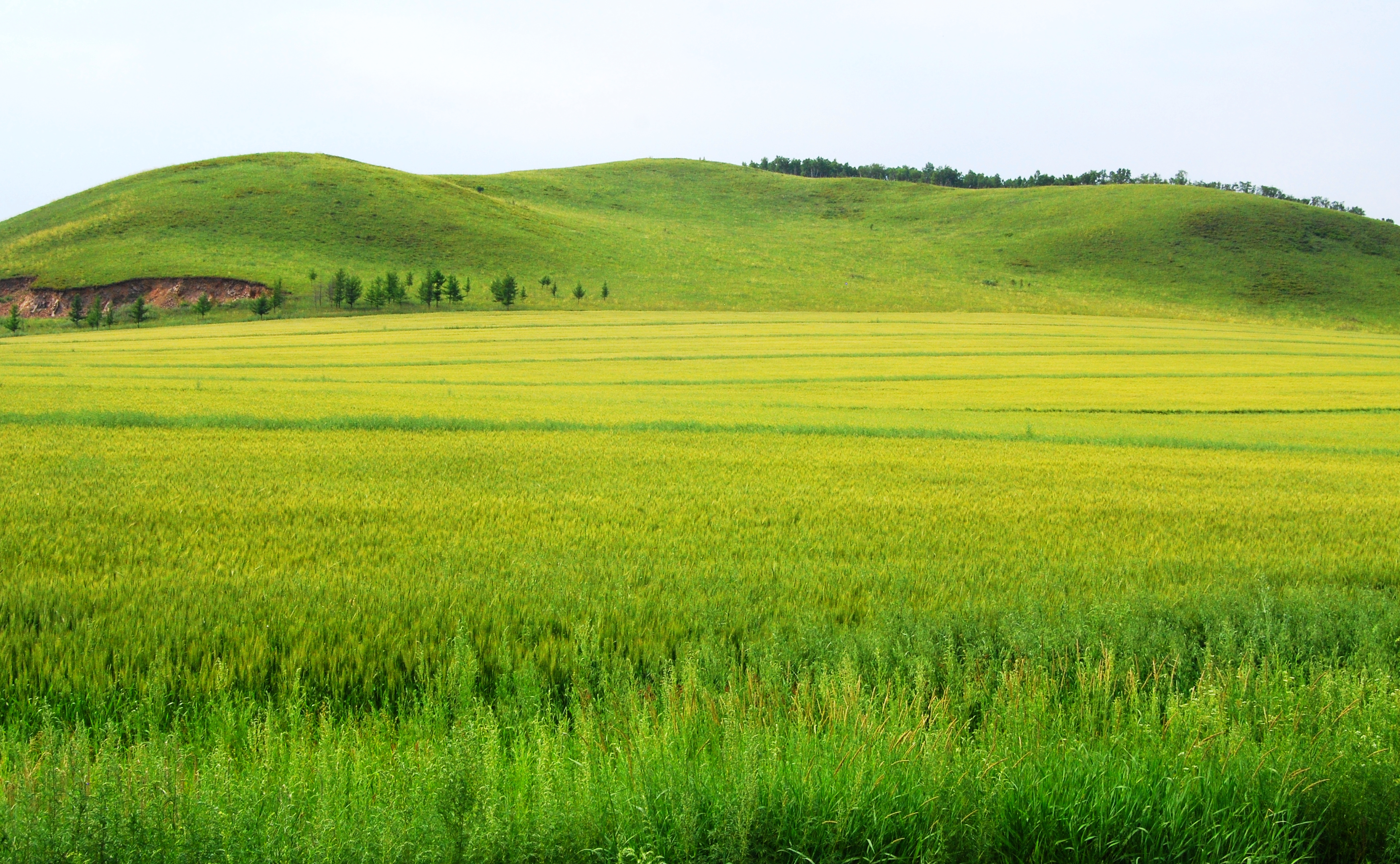 一辆车，从东乌旗沿中蒙边境公路到阿尔山，漫长边关寻迹历史遗存